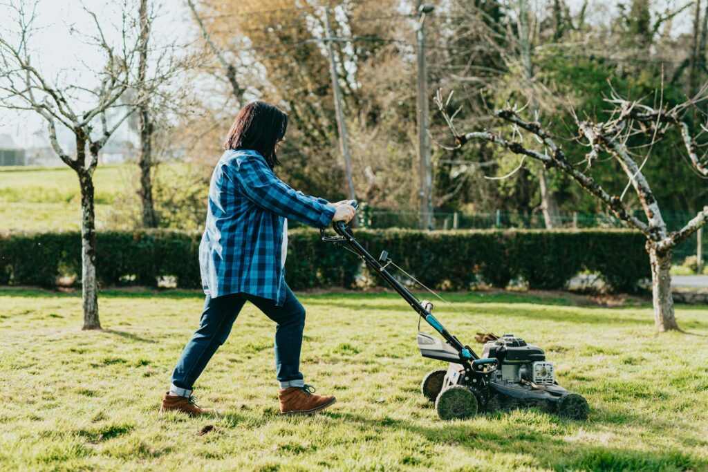 lawn maintenance