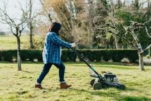 lawn maintenance