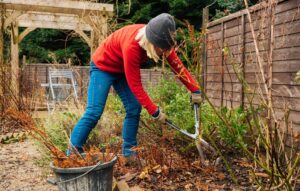 spring_yard_cleaning