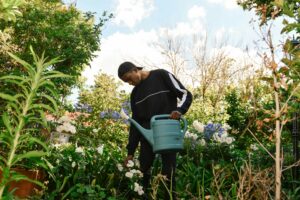 Mid-Season Garden Refresh
