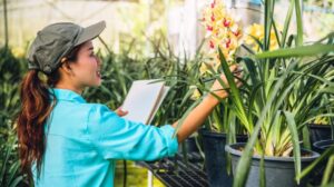 garden planning